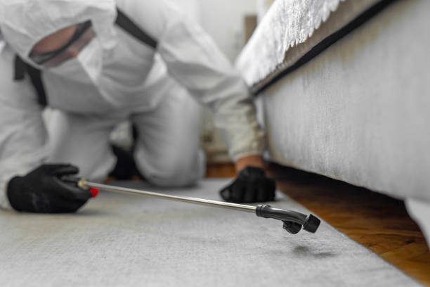 Professional Cockroach Control technician working in Elwood, UT